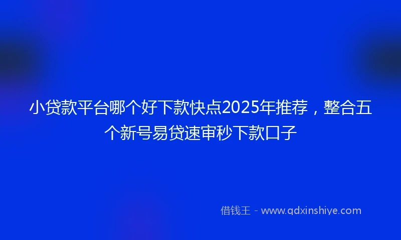 小贷款平台哪个好下款快点2025年推荐，整合五个新号易贷速审秒下款口子