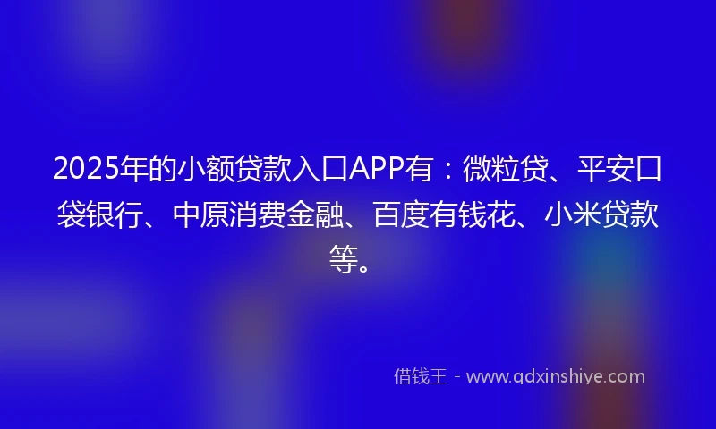 2025年的小额贷款入口APP有：微粒贷、平安口袋银行、中原消费金融、百度有钱花、小米贷款等。