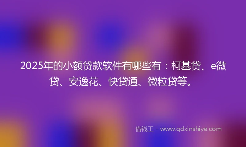 2025年的小额贷款软件有哪些有：柯基贷、e微贷、安逸花、快贷通、微粒贷等。