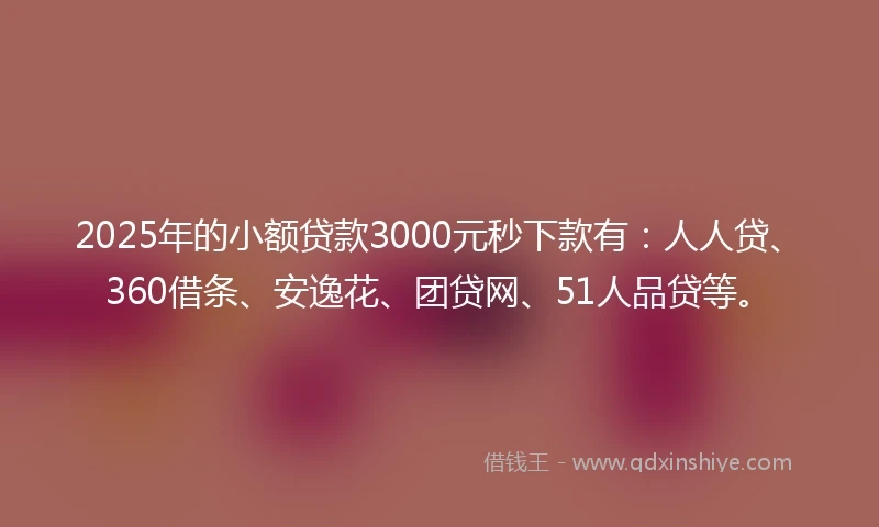 2025年的小额贷款3000元秒下款有：人人贷、360借条、安逸花、团贷网、51人品贷等。