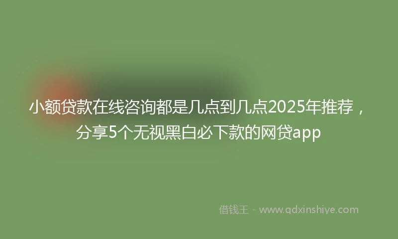 小额贷款在线咨询都是几点到几点2025年推荐，分享5个无视黑白必下款的网贷app