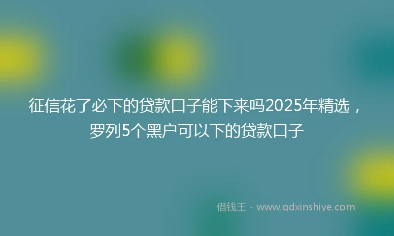 征信花了必下的贷款口子能下来吗2025年精选，罗列5个黑户可以下的贷款口子