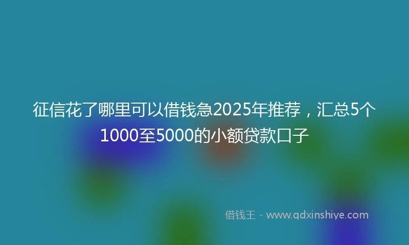 征信花了哪里可以借钱急2025年推荐，汇总5个1000至5000的小额贷款口子