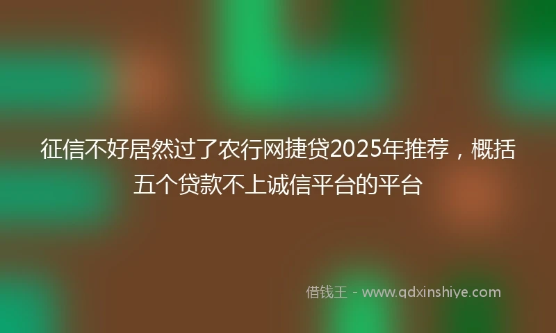 征信不好居然过了农行网捷贷2025年推荐，概括五个贷款不上诚信平台的平台