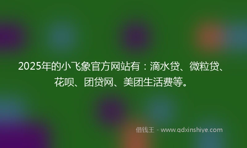 2025年的小飞象官方网站有：滴水贷、微粒贷、花呗、团贷网、美团生活费等。