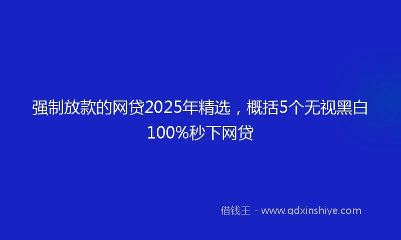 强制放款的网贷2025年精选，概括5个无视黑白100%秒下网贷