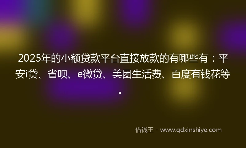 2025年的小额贷款平台直接放款的有哪些有：平安i贷、省呗、e微贷、美团生活费、百度有钱花等。