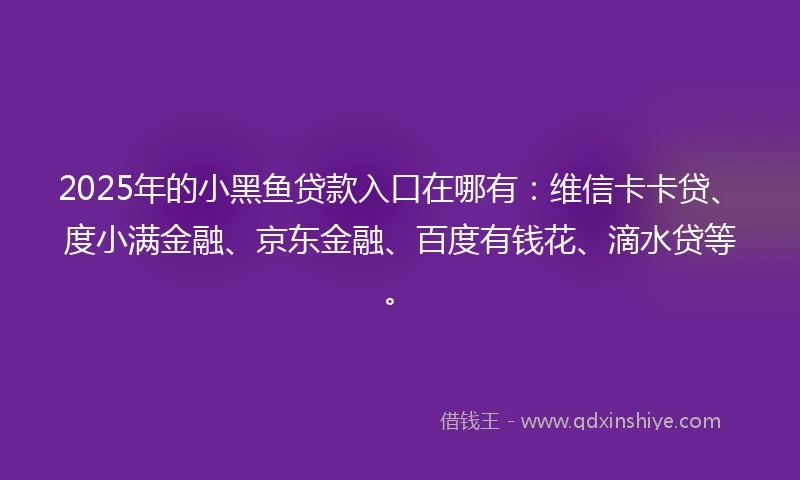 2025年的小黑鱼贷款入口在哪有：维信卡卡贷、度小满金融、京东金融、百度有钱花、滴水贷等。