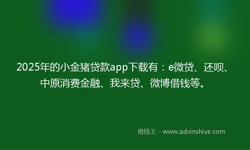 2025年的小金猪贷款app下载有：e微贷、还呗、中原消费金融、我来贷、微博借钱等。