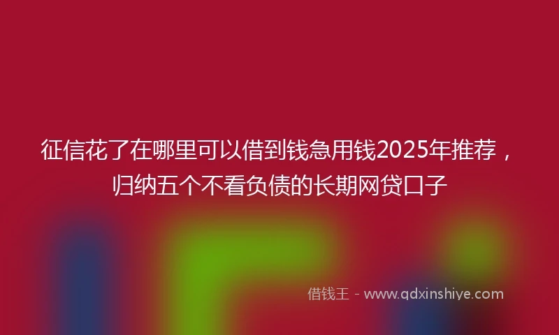 征信花了在哪里可以借到钱急用钱2025年推荐，归纳五个不看负债的长期网贷口子