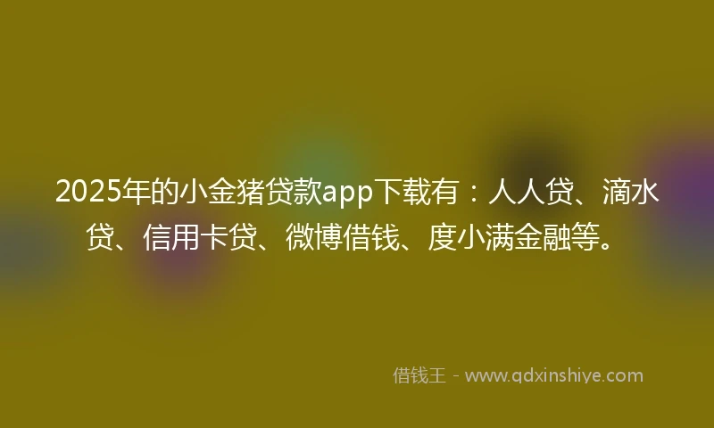 2025年的小金猪贷款app下载有：人人贷、滴水贷、信用卡贷、微博借钱、度小满金融等。