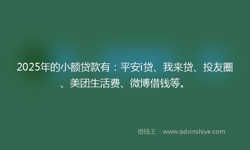 2025年的小额贷款有：平安i贷、我来贷、投友圈、美团生活费、微博借钱等。