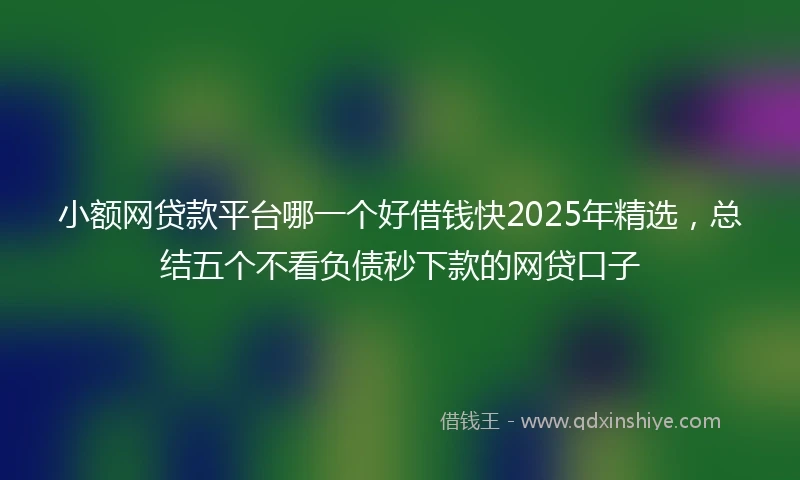 小额网贷款平台哪一个好借钱快2025年精选，总结五个不看负债秒下款的网贷口子