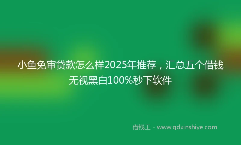 小鱼免审贷款怎么样2025年推荐，汇总五个借钱无视黑白100%秒下软件