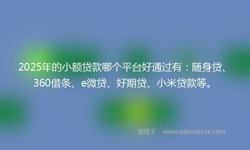 2025年的小额贷款哪个平台好通过有：随身贷、360借条、e微贷、好期贷、小米贷款等。