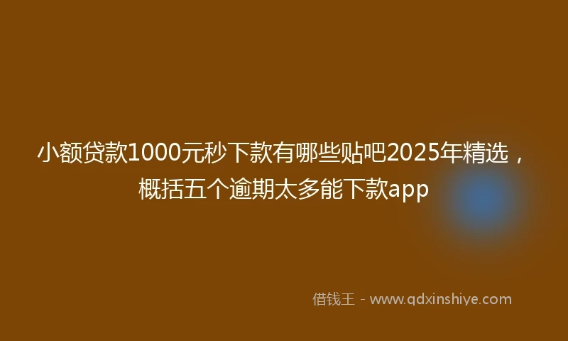 小额贷款1000元秒下款有哪些贴吧2025年精选，概括五个逾期太多能下款app