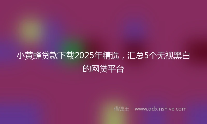 小黄蜂贷款下载2025年精选，汇总5个无视黑白的网贷平台