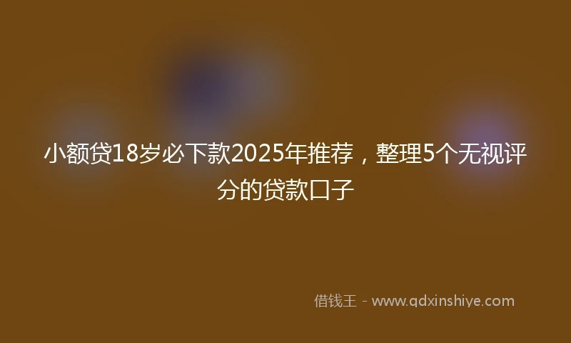 小额贷18岁必下款2025年推荐，整理5个无视评分的贷款口子