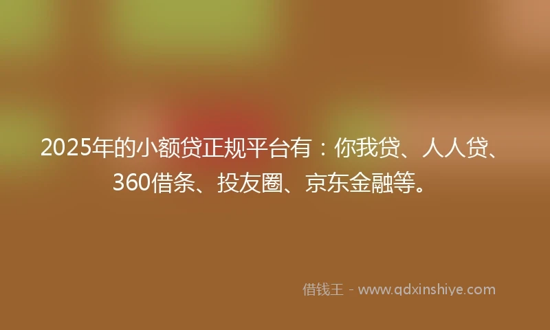2025年的小额贷正规平台有：你我贷、人人贷、360借条、投友圈、京东金融等。