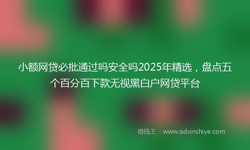 小额网贷必批通过吗安全吗2025年精选，盘点五个百分百下款无视黑白户网贷平台
