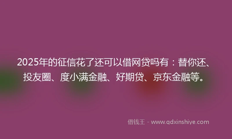 2025年的征信花了还可以借网贷吗有：替你还、投友圈、度小满金融、好期贷、京东金融等。