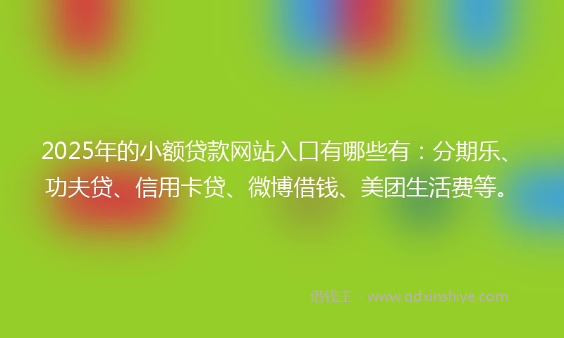2025年的小额贷款网站入口有哪些有：分期乐、功夫贷、信用卡贷、微博借钱、美团生活费等。