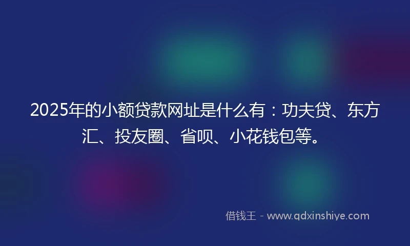 2025年的小额贷款网址是什么有：功夫贷、东方汇、投友圈、省呗、小花钱包等。