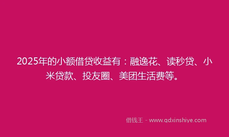 2025年的小额借贷收益有：融逸花、读秒贷、小米贷款、投友圈、美团生活费等。