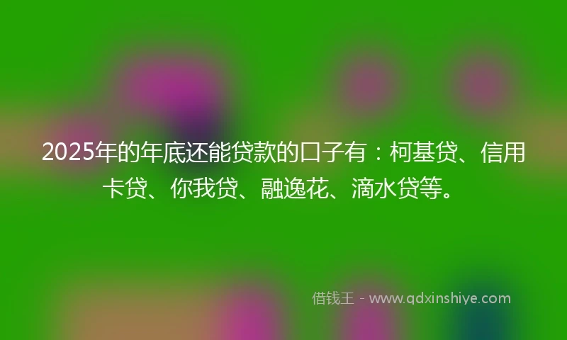2025年的年底还能贷款的口子有：柯基贷、信用卡贷、你我贷、融逸花、滴水贷等。