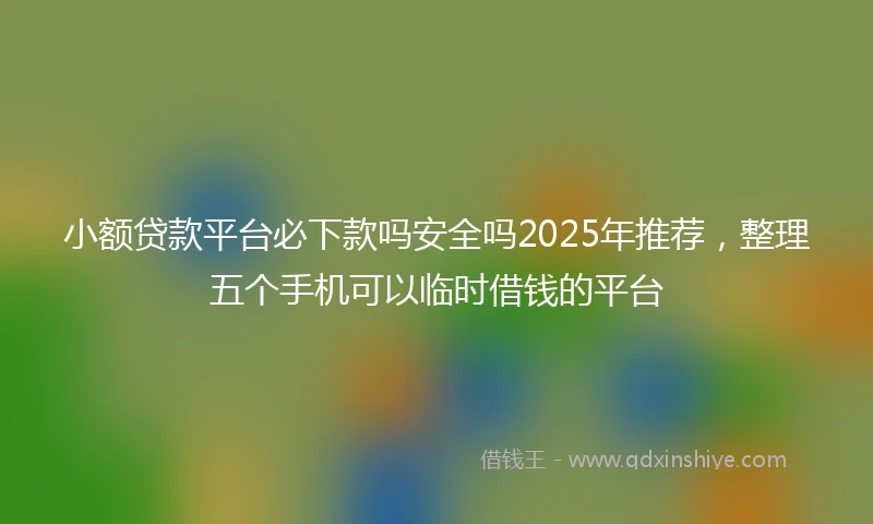 小额贷款平台必下款吗安全吗2025年推荐，整理五个手机可以临时借钱的平台