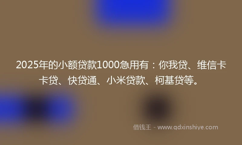 2025年的小额贷款1000急用有：你我贷、维信卡卡贷、快贷通、小米贷款、柯基贷等。