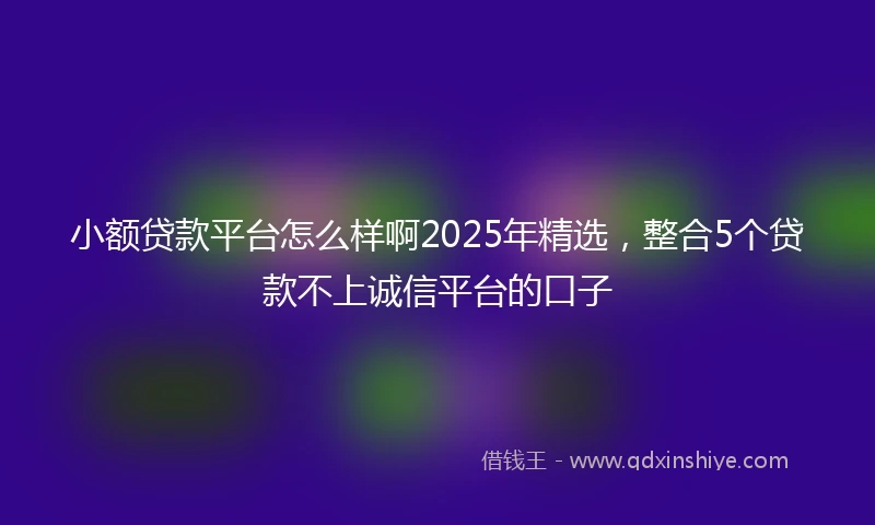 小额贷款平台怎么样啊2025年精选，整合5个贷款不上诚信平台的口子