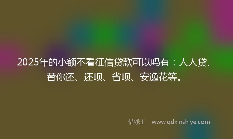 2025年的小额不看征信贷款可以吗有：人人贷、替你还、还呗、省呗、安逸花等。