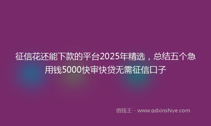 征信花还能下款的平台2025年精选，总结五个急用钱5000快审快贷无需征信口子
