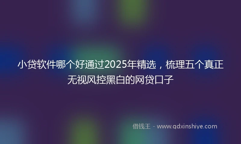 小贷软件哪个好通过2025年精选，梳理五个真正无视风控黑白的网贷口子
