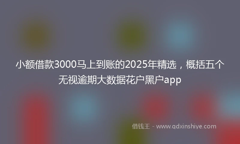小额借款3000马上到账的2025年精选，概括五个无视逾期大数据花户黑户app