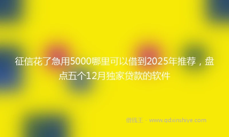 征信花了急用5000哪里可以借到2025年推荐，盘点五个12月独家贷款的软件