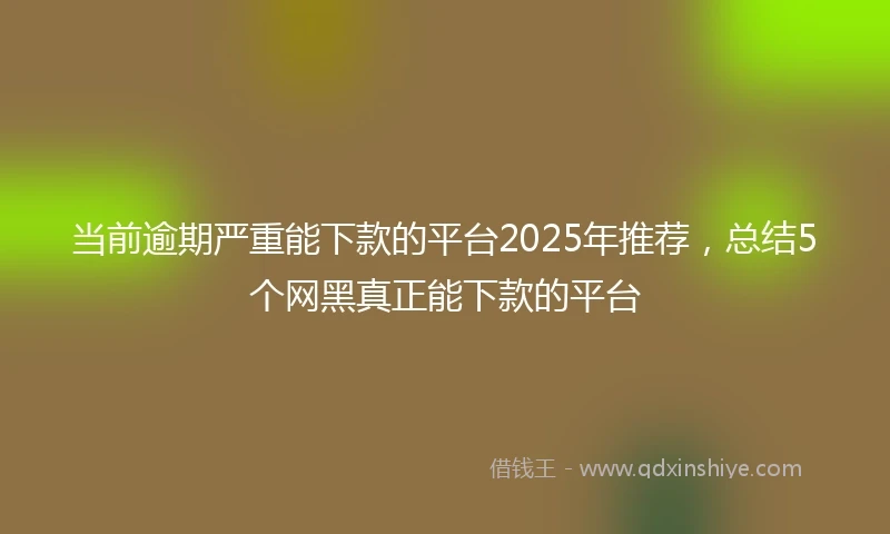 当前逾期严重能下款的平台2025年推荐，总结5个网黑真正能下款的平台