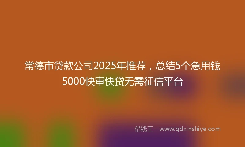 常德市贷款公司2025年推荐，总结5个急用钱5000快审快贷无需征信平台
