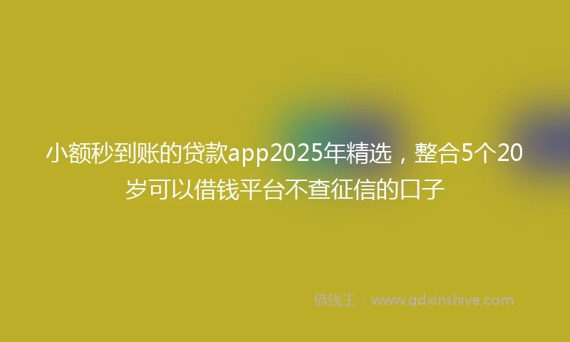 小额秒到账的贷款app2025年精选，整合5个20岁可以借钱平台不查征信的口子