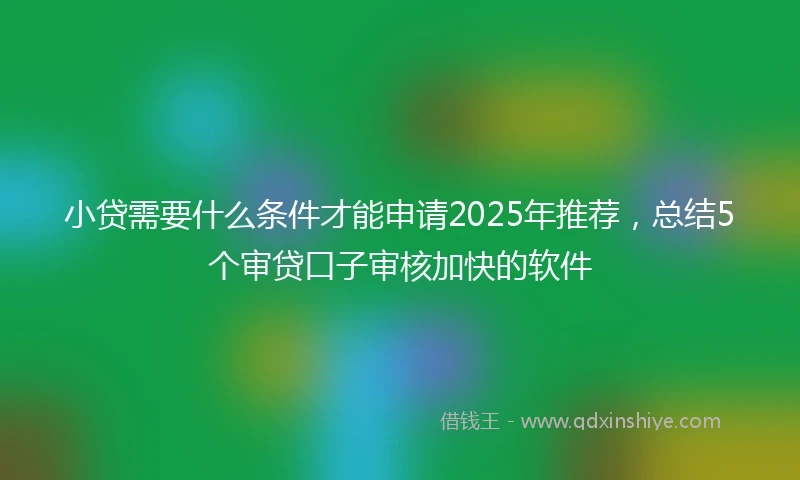 小贷需要什么条件才能申请2025年推荐，总结5个审贷口子审核加快的软件