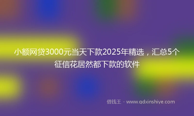 小额网贷3000元当天下款2025年精选，汇总5个征信花居然都下款的软件