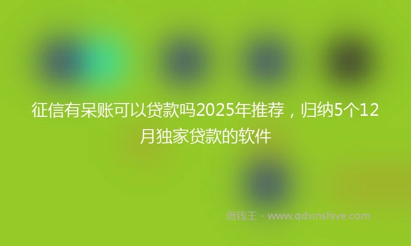 征信有呆账可以贷款吗2025年推荐，归纳5个12月独家贷款的软件