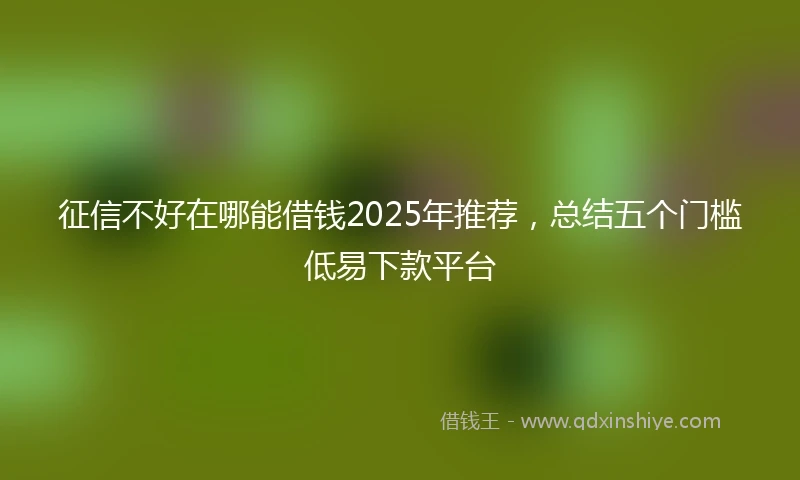 征信不好在哪能借钱2025年推荐,总结五个门槛低易下款平台