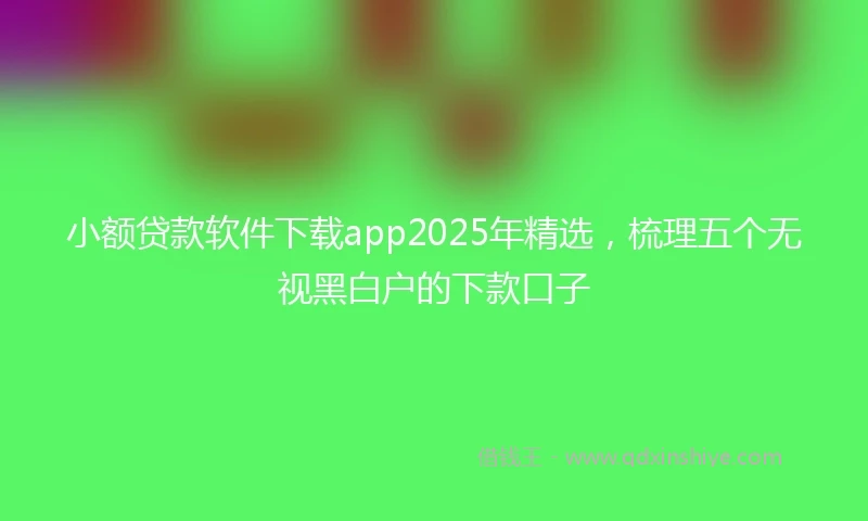 小额贷款软件下载app2025年精选，梳理五个无视黑白户的下款口子