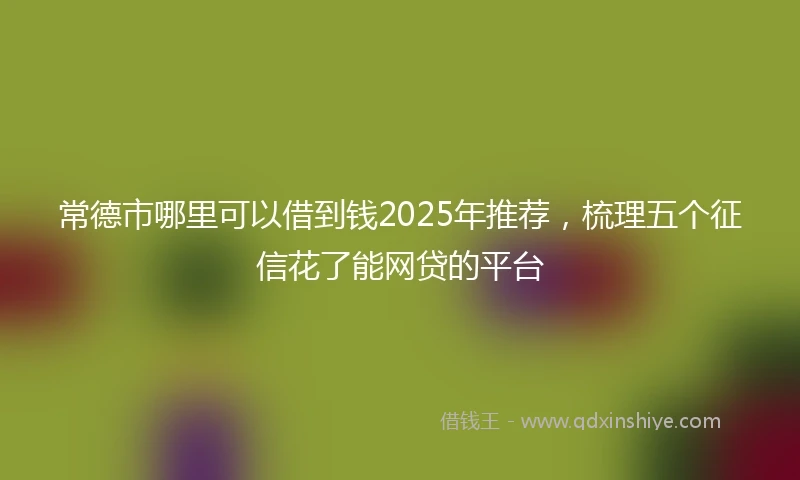 常德市哪里可以借到钱2025年推荐，梳理五个征信花了能网贷的平台