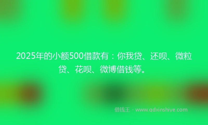 2025年的小额500借款有：你我贷、还呗、微粒贷、花呗、微博借钱等。