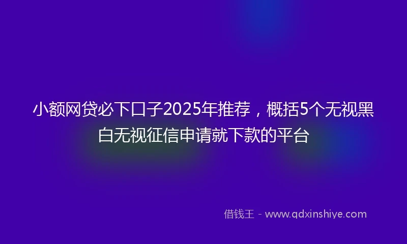小额网贷必下口子2025年推荐，概括5个无视黑白无视征信申请就下款的平台