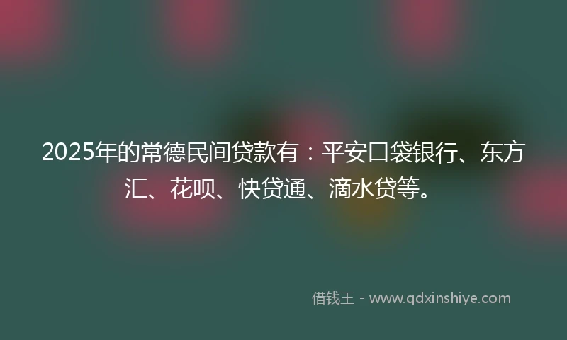 2025年的常德民间贷款有：平安口袋银行、东方汇、花呗、快贷通、滴水贷等。