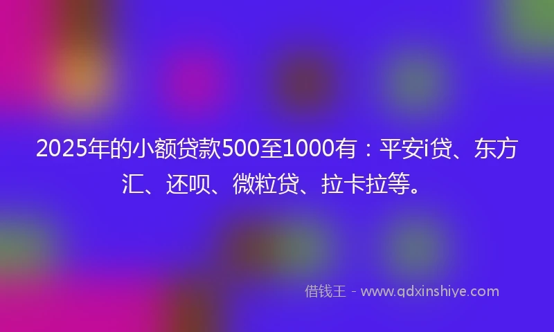 2025年的小额贷款500至1000有：平安i贷、东方汇、还呗、微粒贷、拉卡拉等。